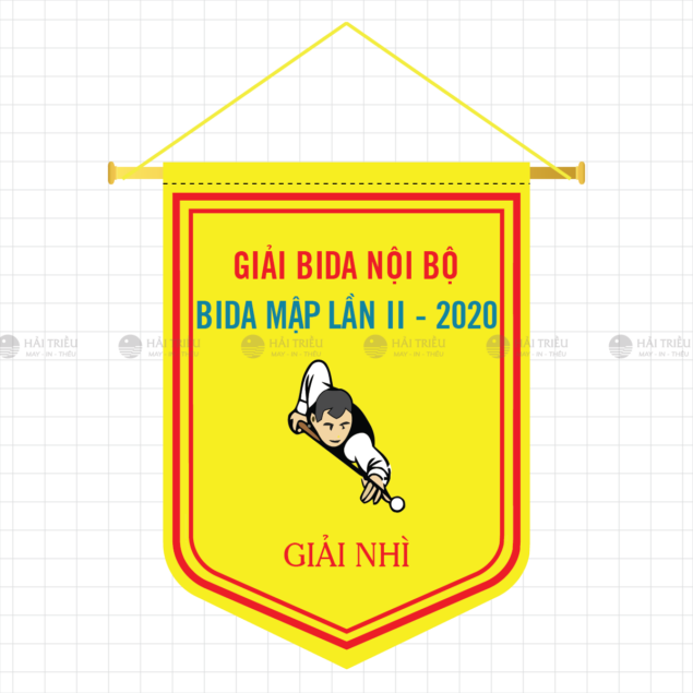 co luu niem giai bida noi bo - bida map lan ii giai nhi