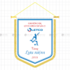 co luu niem giai bong da letco open cup lan 2 - tang luu niem 2018
