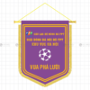 co luu niem giai dau bong da noi bo fpt - vua pha luoi