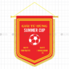 co luu niem giai tu hung summer cup