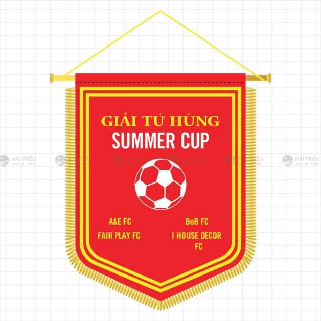 co luu niem giai tu hung summer cup