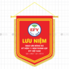 co luu niem giao luu bong da ky niem 11 nam thanh lap efy viet nam