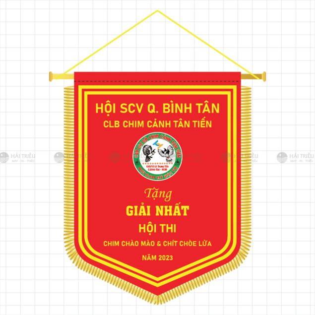 co luu niem hoi scv quan binh tan - clb chim canh tan tien tang giai nhat