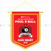 co luu niem giai billiards noi bo pool 9 ball - giai nhat