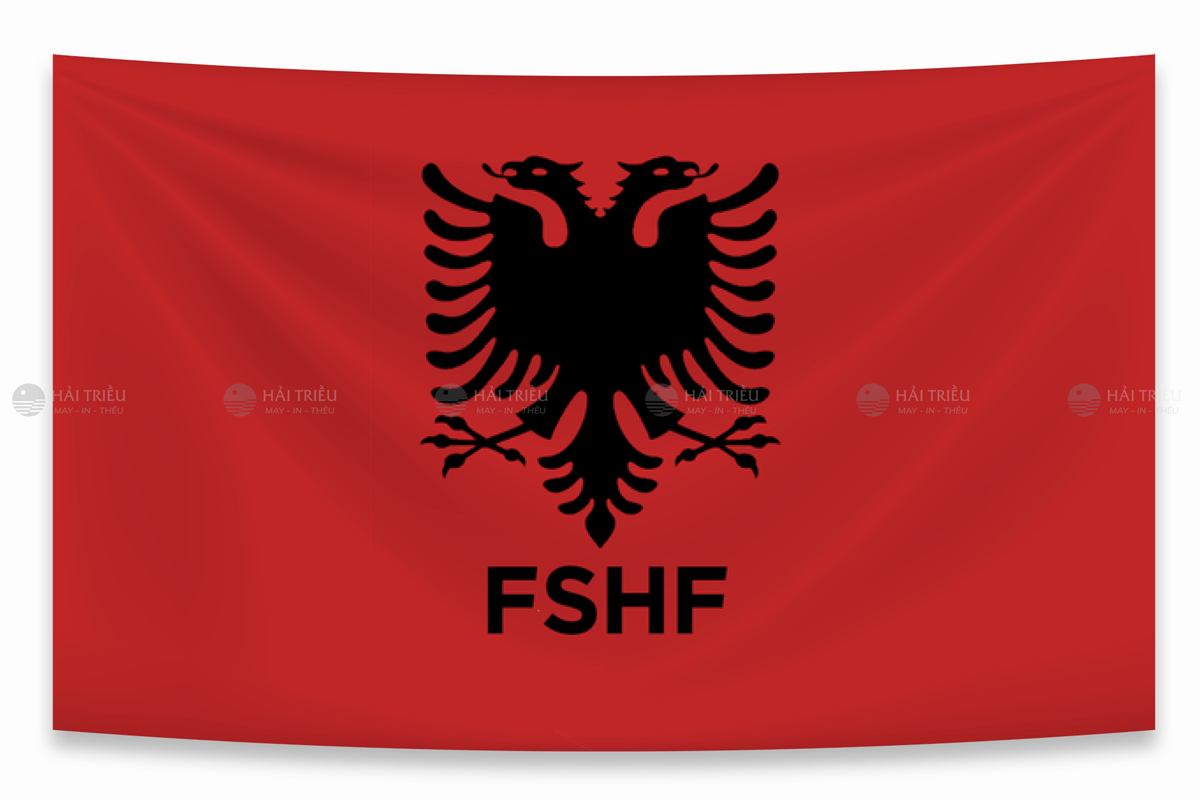 co doi tuyen bong da albania