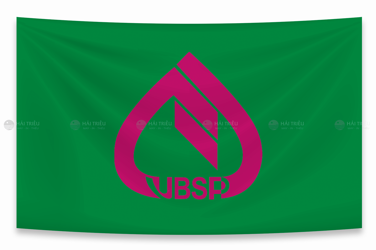 co vbsp - ngan hang chinh sach xa hoi